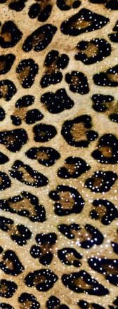 Leopard patterned